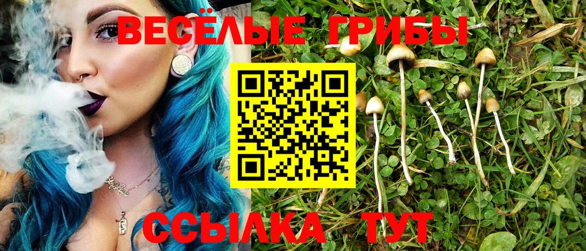 Ленинск-Кузнецкий  Псилоцибиновые грибы Magic Shrooms  Вход с VPN 